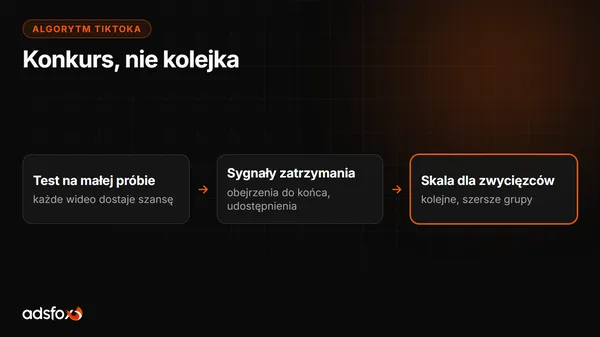 Cover for Jak działa algorytm TikToka i co z tym zrobić