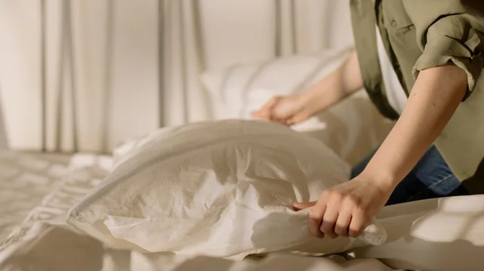 Okładka: Kampanie Meta Ads dla producenta tekstyliów domowych: ROAS 29,66